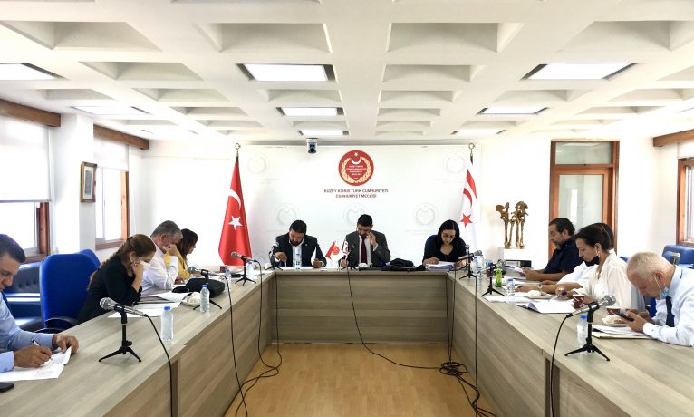 Komite erken seçim için 3 Nisan 2022’yi onayladı