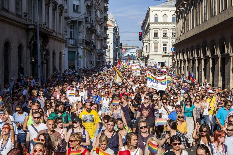 Macaristan’da kabul edilen eşcinsellik karşıtı yasaya tepki