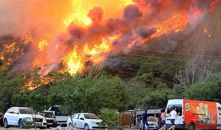 Türkiye’deki orman yangınları devam ediyor