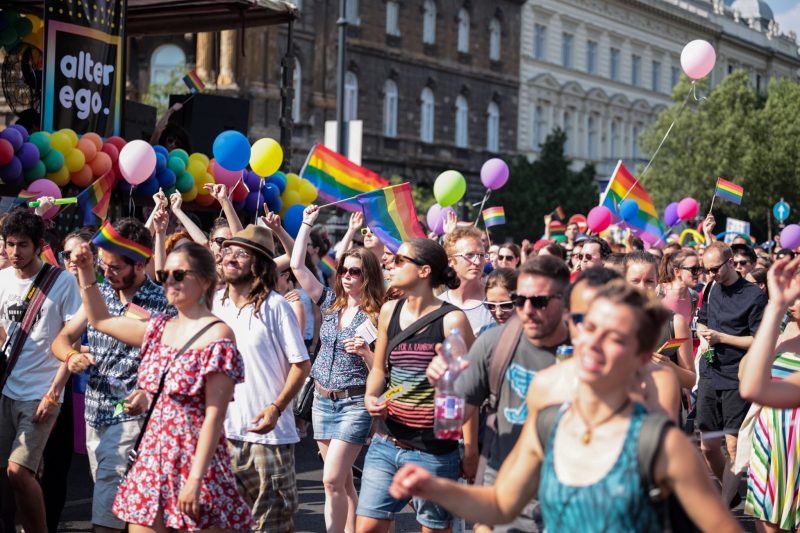 Macaristan ‘eşcinsellik yasasını’ referanduma götürüyor