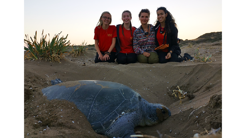 SPOT gönüllüleri yılın ilk yavru kaplumbağalarının heyecanını yaşıyor