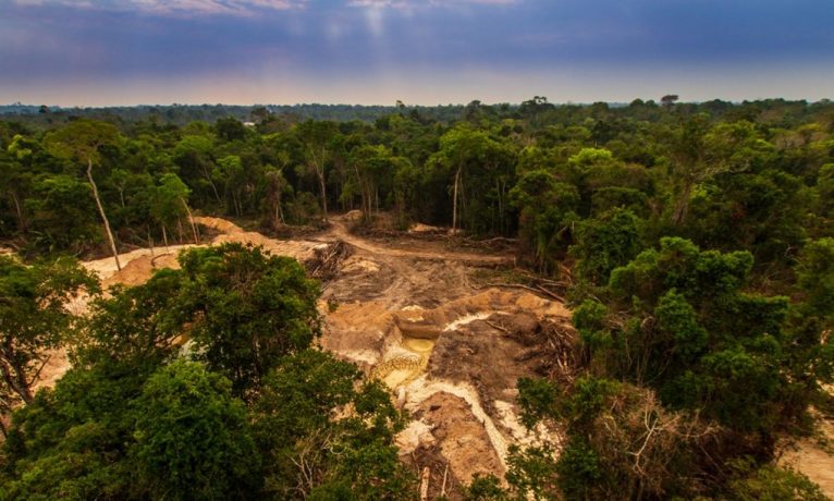 Amazon’da ormansızlaşma, son 10 yılın en yüksek seviyesini gördü