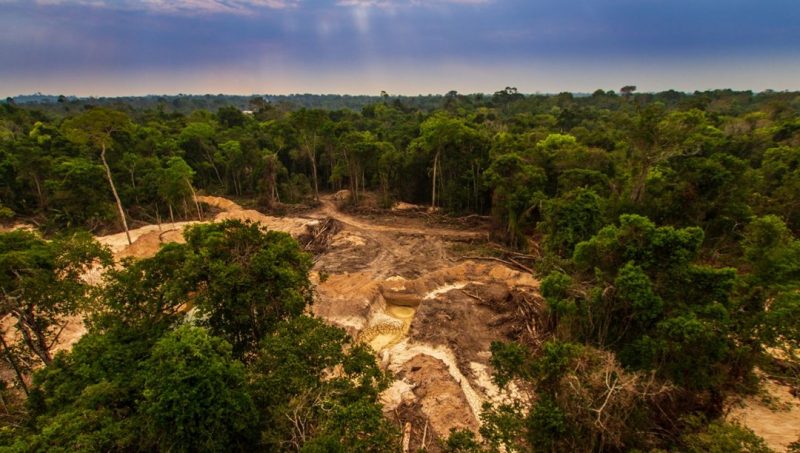 Amazon’da ormansızlaşma, son 10 yılın en yüksek seviyesini gördü