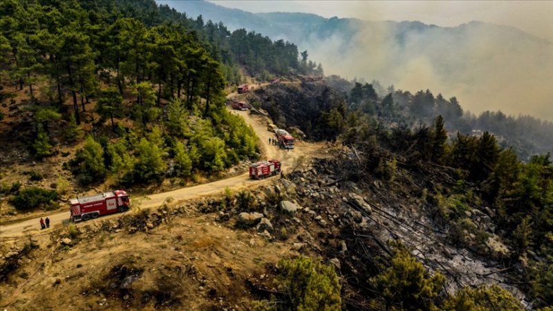 Antalya ve Muğla’daki orman yangınları devam ediyor