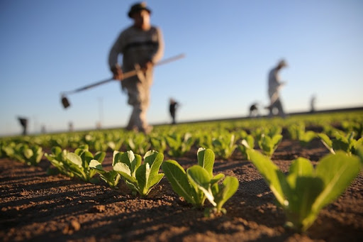 “Tarım-gıda politikaları son derece başarısız”
