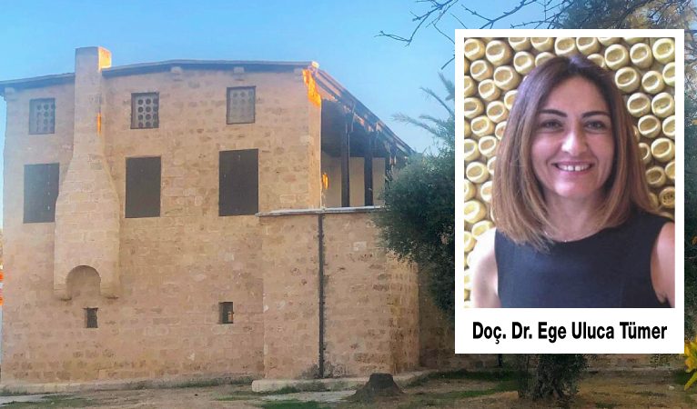 DAÜ ‘Şömineli Ev’in geleceği ile ilgili endişeli