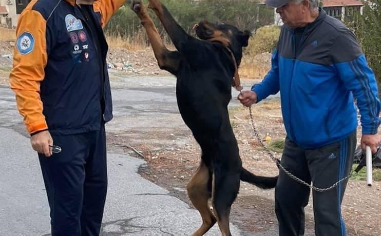 Tatar, Karpaz’da yaşanan köpek katliamı ile ilgili açıklama yaptı