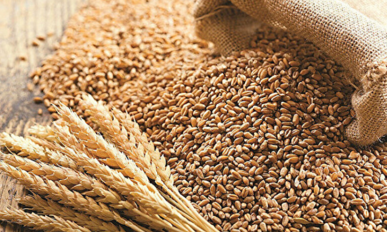 “Ekmeklik buğday stoklarında sıkıntı yok”
