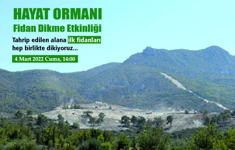 Girne’de talan edilen alan “hayat ormanı”na dönüşüyor