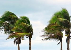 Meteoroloji Dairesinden yarın için fırtına uyarısı