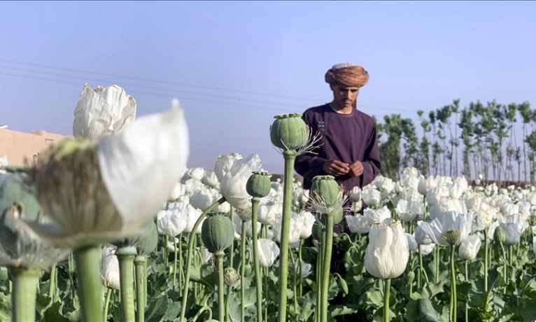 Taliban, Afganistan’da alkol ve uyuşturucu üretimini yasakladı