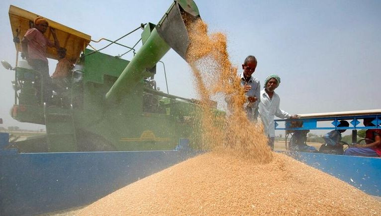 Buğday fiyatları, Hindistan’ın ihracat yasağı kararıyla tavan yaptı