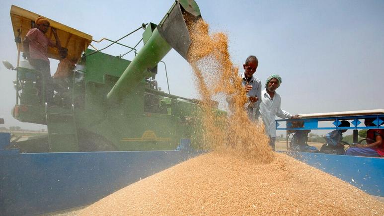 Buğday fiyatları, Hindistan’ın ihracat yasağı kararıyla tavan yaptı