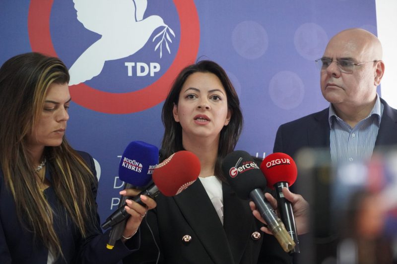 Mine Atlı: “Ülke adeta AKP seçim ofisine çevrildi”