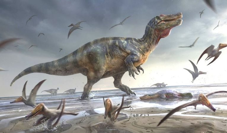 Avrupa’nın ‘en büyük’ kara dinozoru fosili İngiltere’de keşfedildi