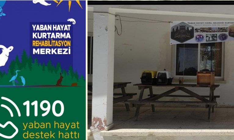 DoğaPark yangında zarar gören hayvanlar için bölgede konuşlandı