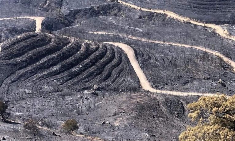 TDP’den hükümete: Bu ülkeyi artık sevin