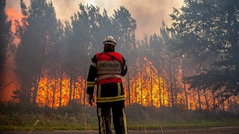 Akdeniz ülkelerindeki orman yangınları binlerce kişinin tahliye edilmesine yol açtı