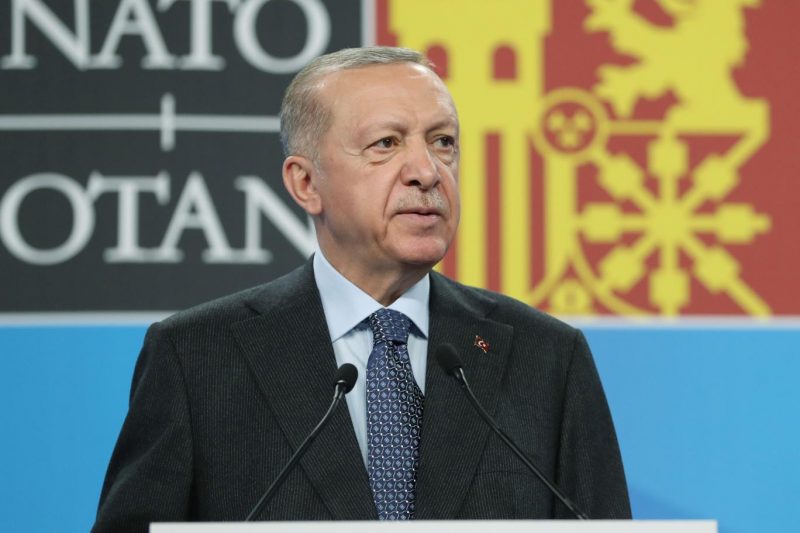 Erdoğan: İsveç ve Finlandiya üzerlerine düşen görevi yerine getirmezse parlamentoya göndermeyiz