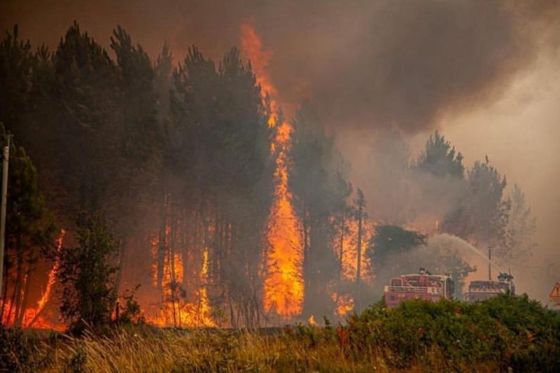 Fransa’da orman yangınları 4 gündür devam ediyor