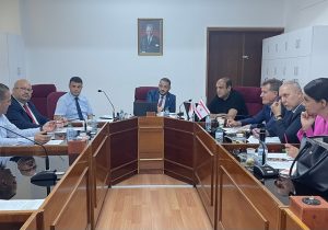 Komite, belediyeler reformunu görüşmeye başladı