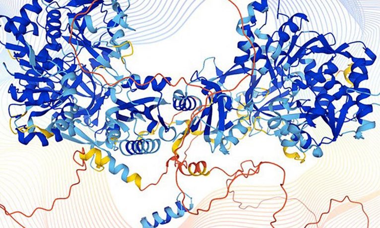 Tıpta ve biyolojide devrim yaratacak gelişme: Google’ın yapay zekası bilinen tüm proteinlerin yapısını tahmin etti