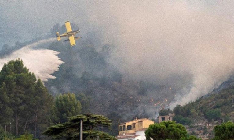 Cezayir’deki orman yangınlarında can kaybı 41’e yükseldi