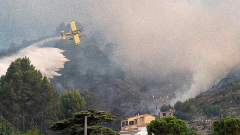 Cezayir’deki orman yangınlarında can kaybı 41’e yükseldi