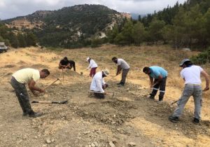 Kayıp Şahıslar Komitesi 7 ayrı ekiple çalışmalarına devam ediyor