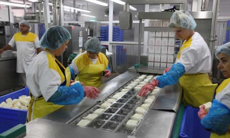 Avrupa Kıbrıslı Türklerin güneydeki çalışma hayatına katılmalarını istiyor