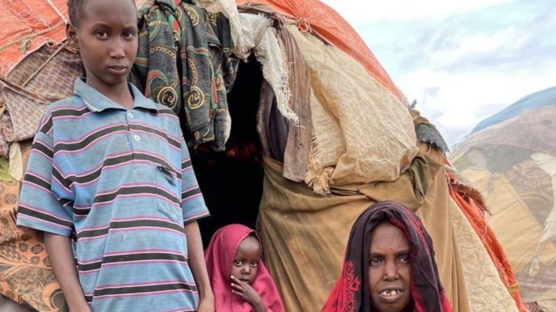 Somali’de kuraklık ve kıtlık: “Üç yaşındaki kızımı gömecek takatim yoktu”