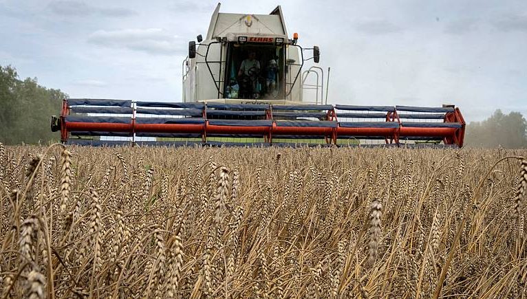 Ukrayna: Tahıl ihracatı artık imkansız, Türkiye: Sorunun çözümü için görüşmeler sürüyor