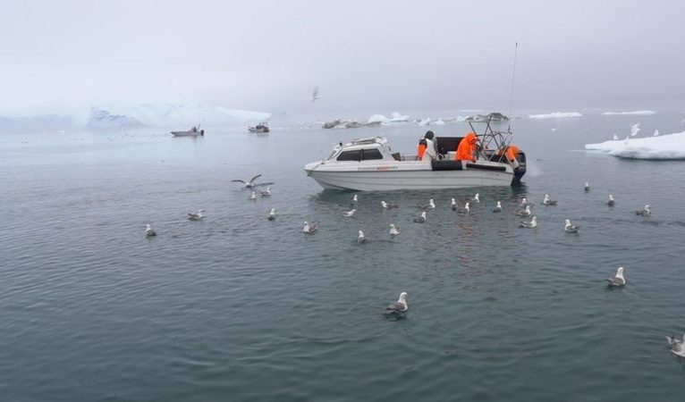 İklim değişikliği Grönland’da kültürel değişimlere yol açıyor