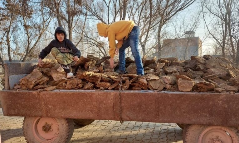 Türkiye kışı böyle karşılıyor: Doğalgaz hayal, kömür ve odun çok pahalı; tezek, kabuk ve çöp yakacağız