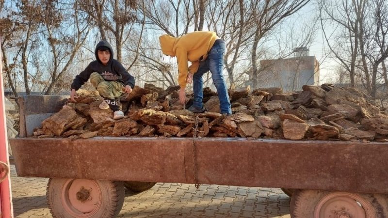 Türkiye kışı böyle karşılıyor: Doğalgaz hayal, kömür ve odun çok pahalı; tezek, kabuk ve çöp yakacağız