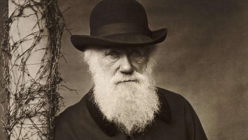 Cambridge Üniversitesi Darwin’in 15 binden fazla mektubunu yayınladı