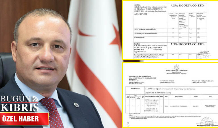 DEVLET DEĞİL AİLE ŞİRKETİ