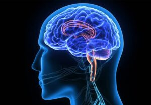 İnsanlığın IQ’su düşmeye başladı