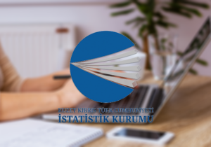 İstatistik Kurumu kadın istatistiklerini paylaştı