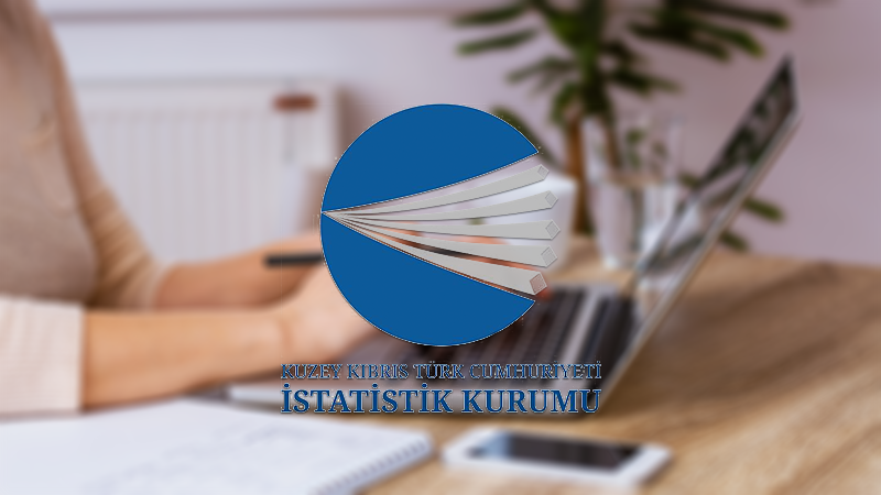 İstatistik Kurumu kadın istatistiklerini paylaştı