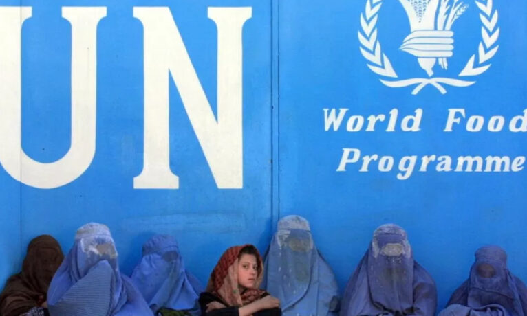 Birleşmiş Milletler: Taliban, kurumdaki Afgan kadınların çalışmasını yasakladı