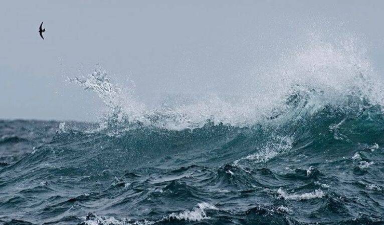 Okyanus yüzeyi sıcaklığında ‘rekor’ artış: 21.1 dereceye yükseldi