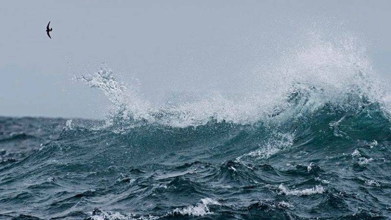 Okyanus yüzeyi sıcaklığında ‘rekor’ artış: 21.1 dereceye yükseldi