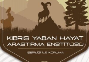 Doğa Park’tan timsah açıklaması