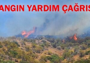 Yeşilırmak’taki yangın için yardım çağrısı