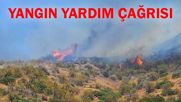 Yeşilırmak’taki yangın için yardım çağrısı