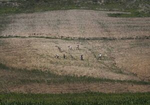 Kuzey Kore’deki kıtlık: “Komşularım açlıktan ölüyor”