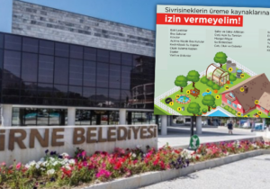 Girne Belediyesi, sivrisinek popülasyonuyla mücadelede halka işbirliği çağrısı yaptı