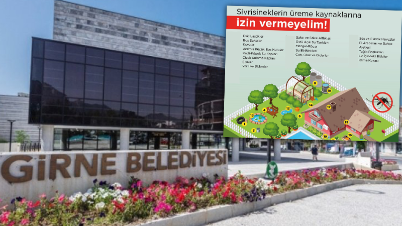 Girne Belediyesi, sivrisinek popülasyonuyla mücadelede halka işbirliği çağrısı yaptı