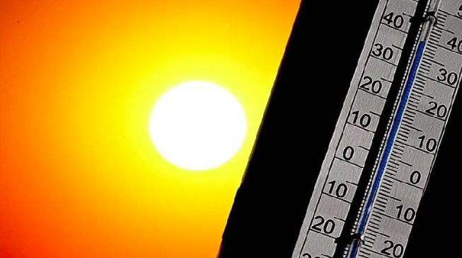 Güney Kore’de aşırı sıcaklar can aldı: 17 kişi hayatını kaybetti